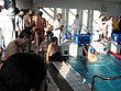 061.JPG