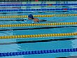 IMG_3719.JPG