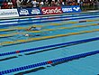 IMG_3792.JPG