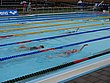 IMG_4019.JPG