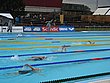 IMG_4026.JPG