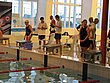 IMG_4969.JPG