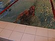 IMG_4972.JPG