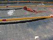 IMG_4973.JPG