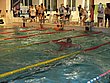 IMG_4995.JPG