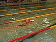 IMG_5002.JPG