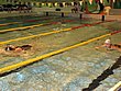 IMG_5006.JPG