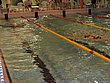 IMG_5007.JPG