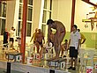 IMG_5019.JPG
