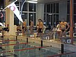 PC030230.JPG
