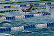 IMG_7571.JPG