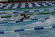 IMG_7574.JPG